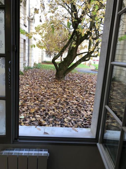 Superbe Appartement Saumur Dış mekan fotoğraf